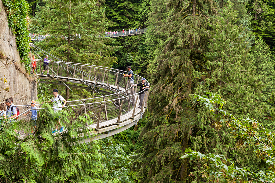 capilano suspension bridge and cliff walk