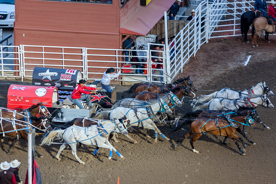 chuck wagon race