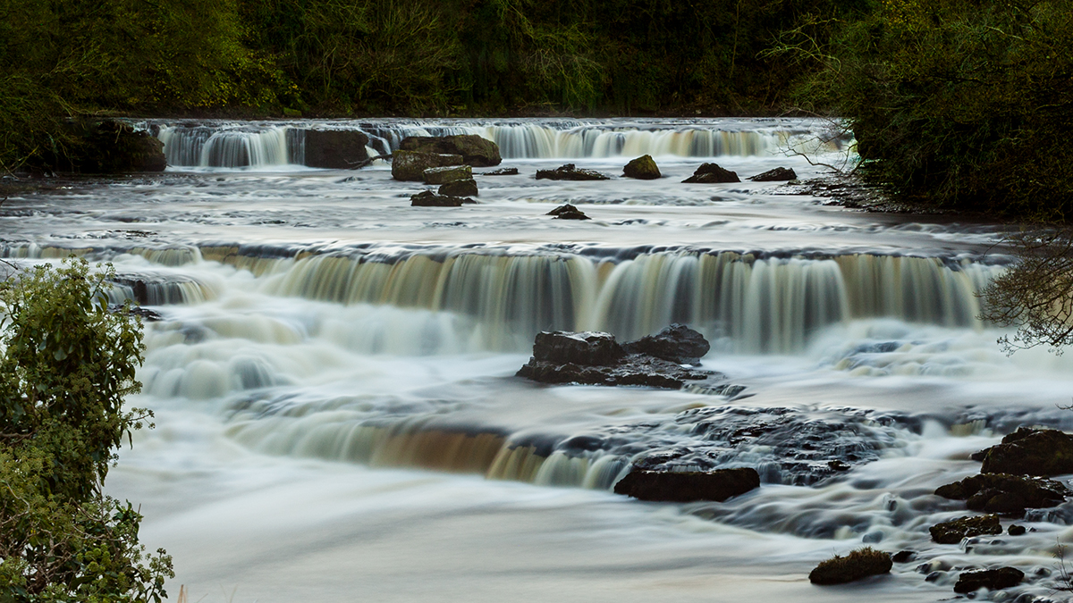 aysgarth 