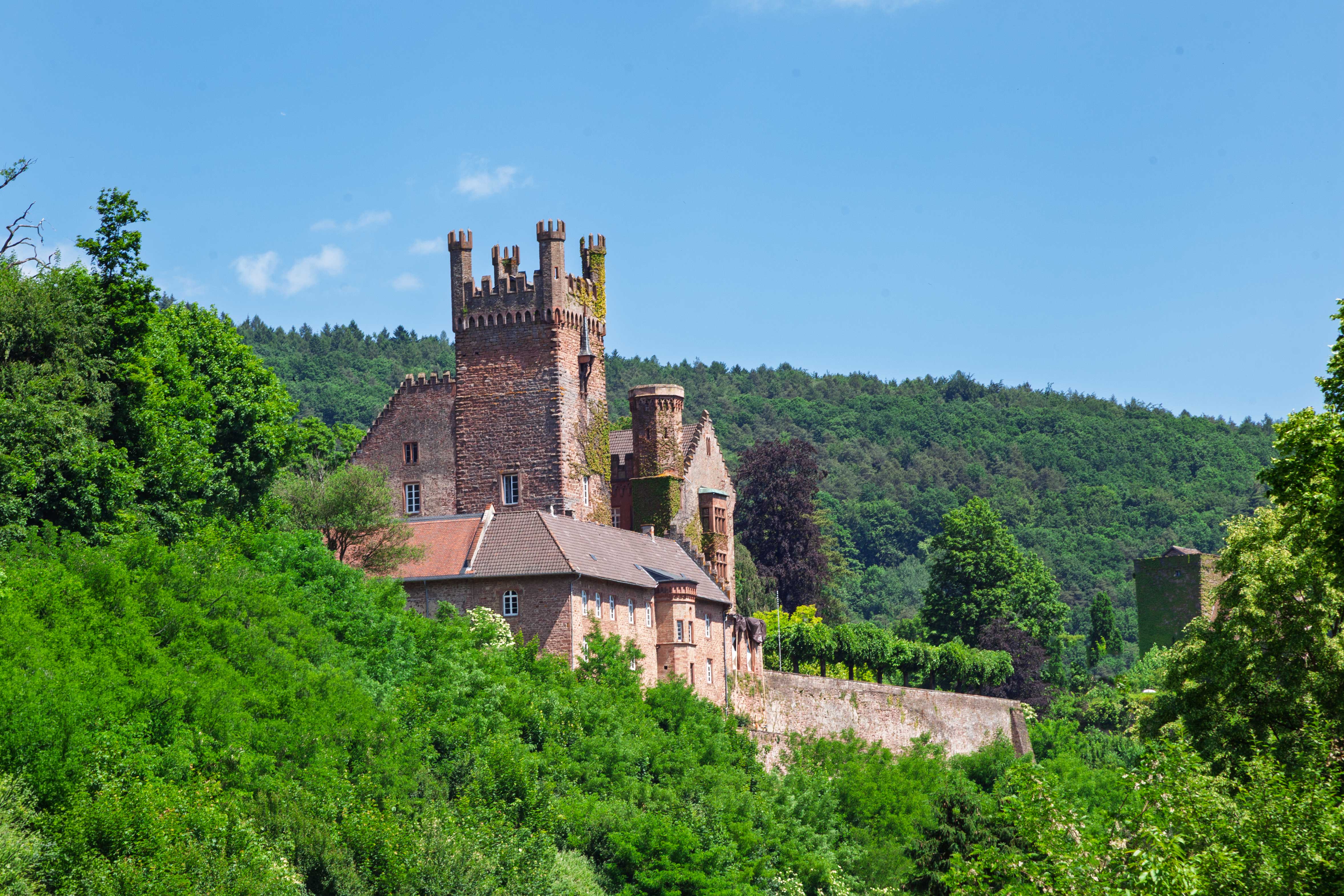 Dilsberg