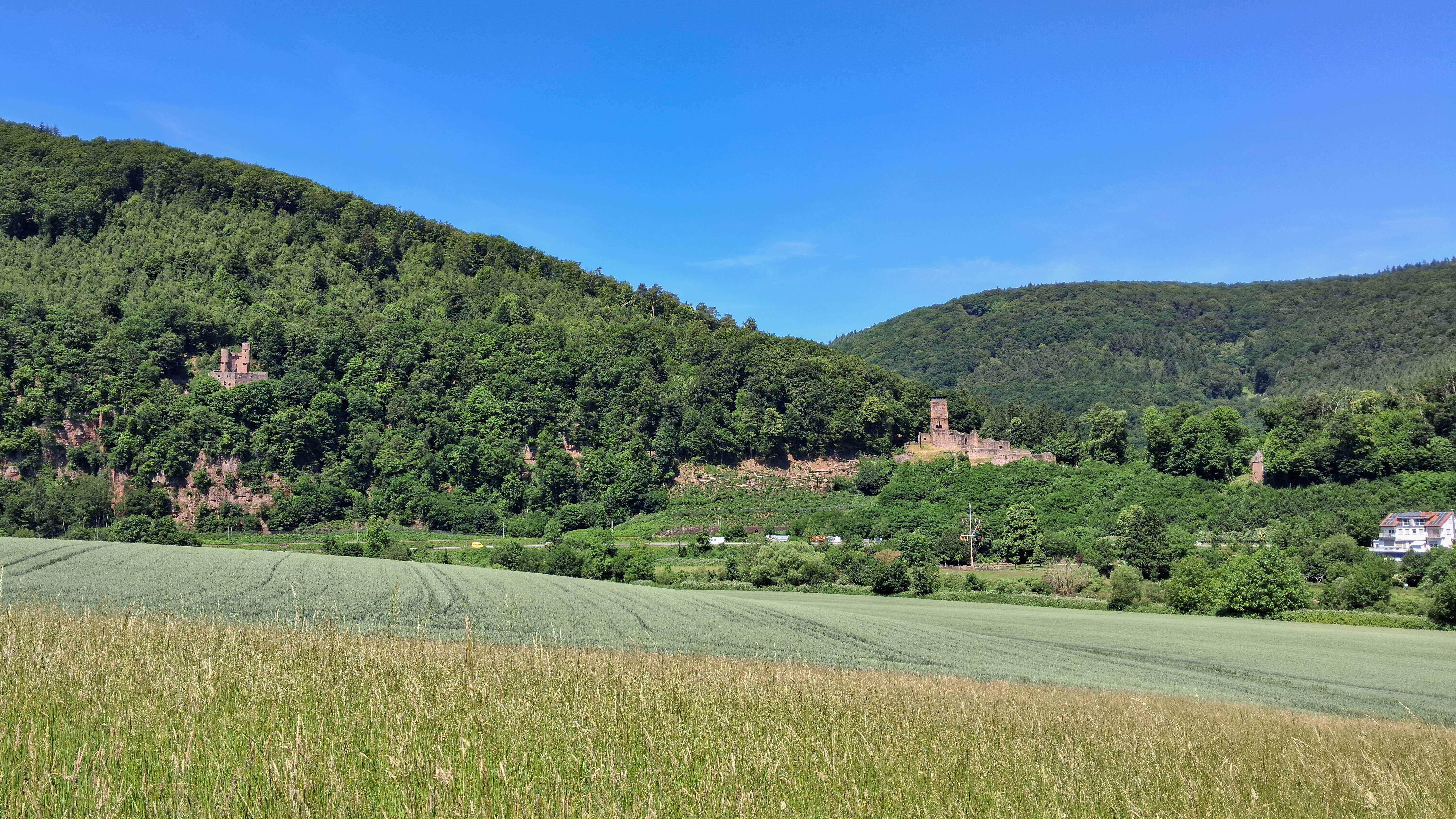 Dilsberg