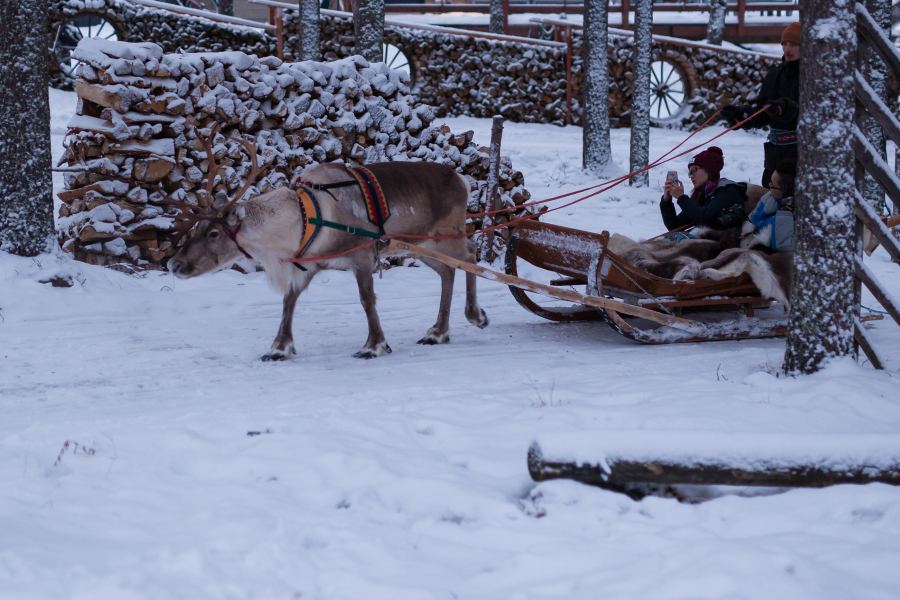 lapland 