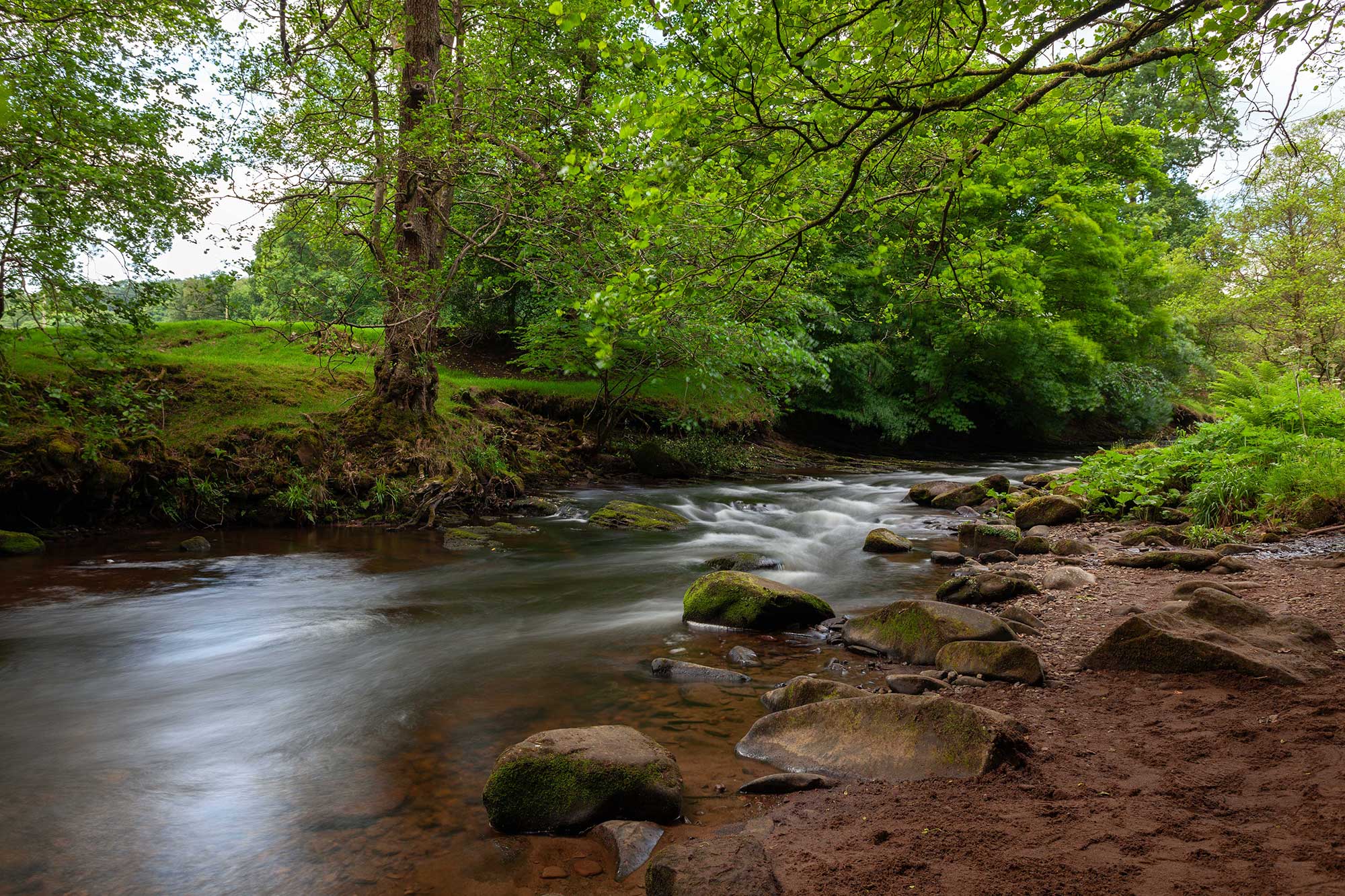 River Dane at Danebridge