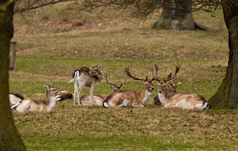 peak District