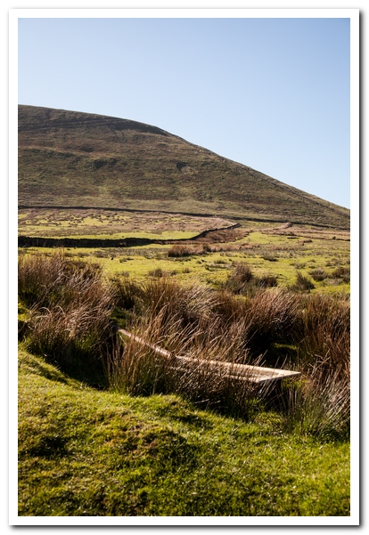 pendle 