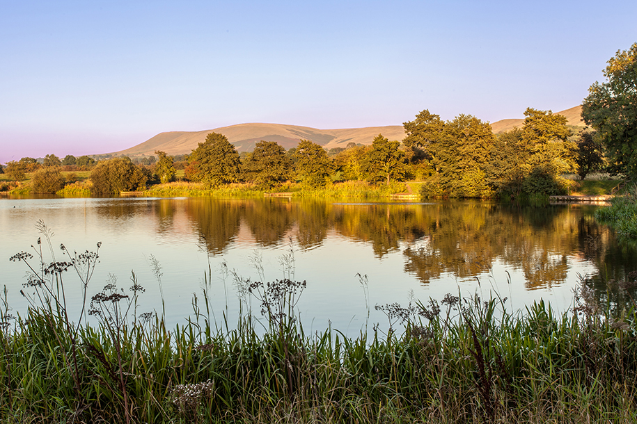 pendle 