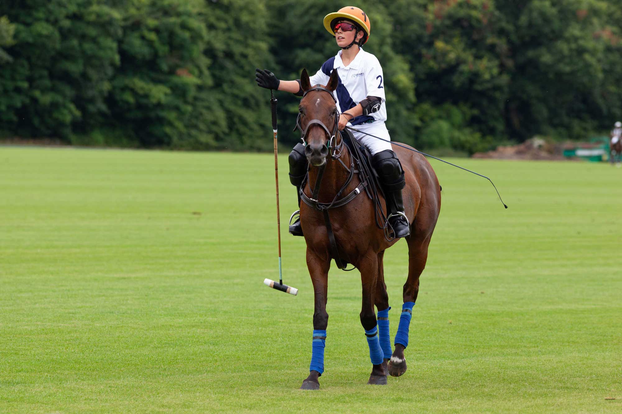 polo at Cirencester Park