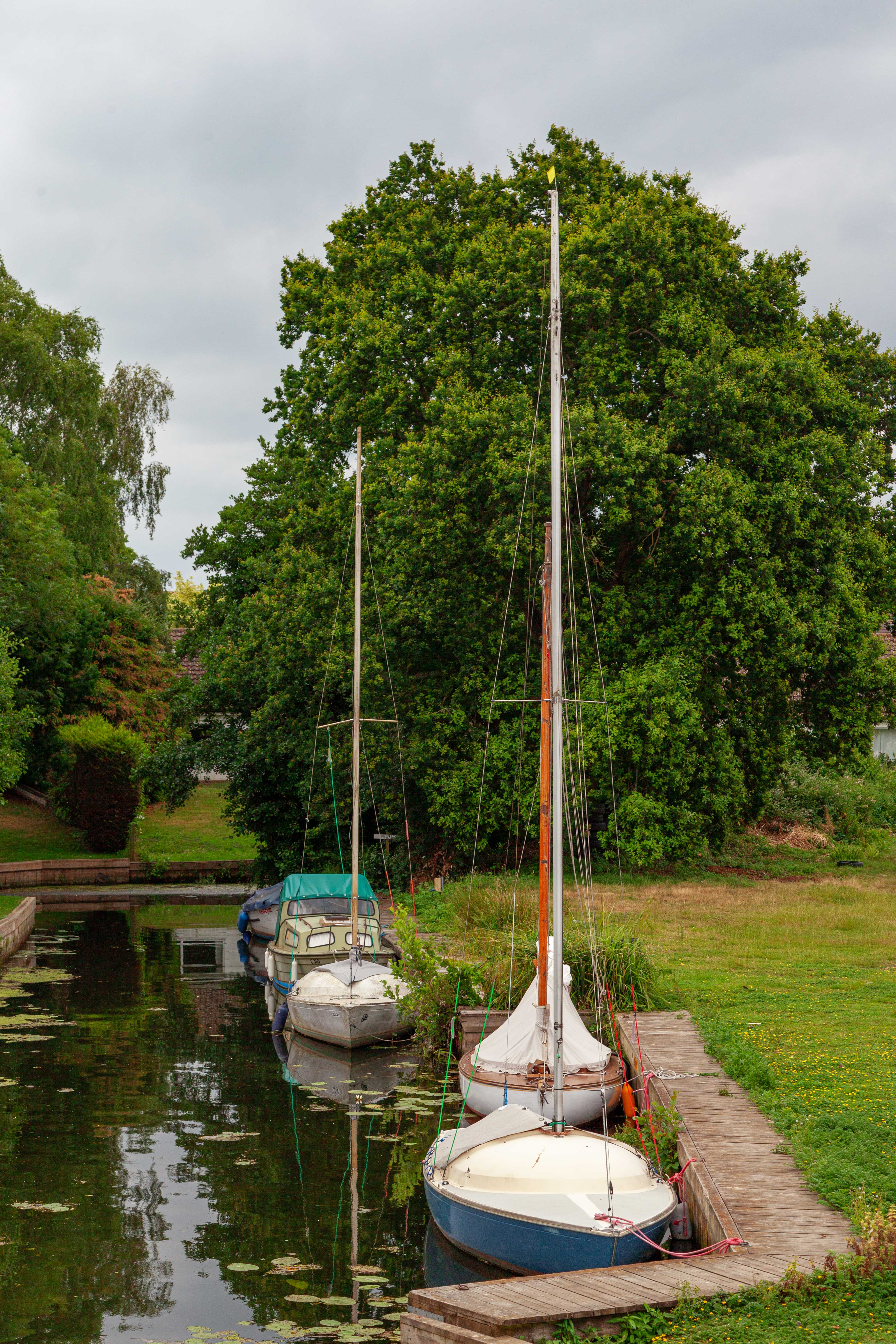 swan inn at horning