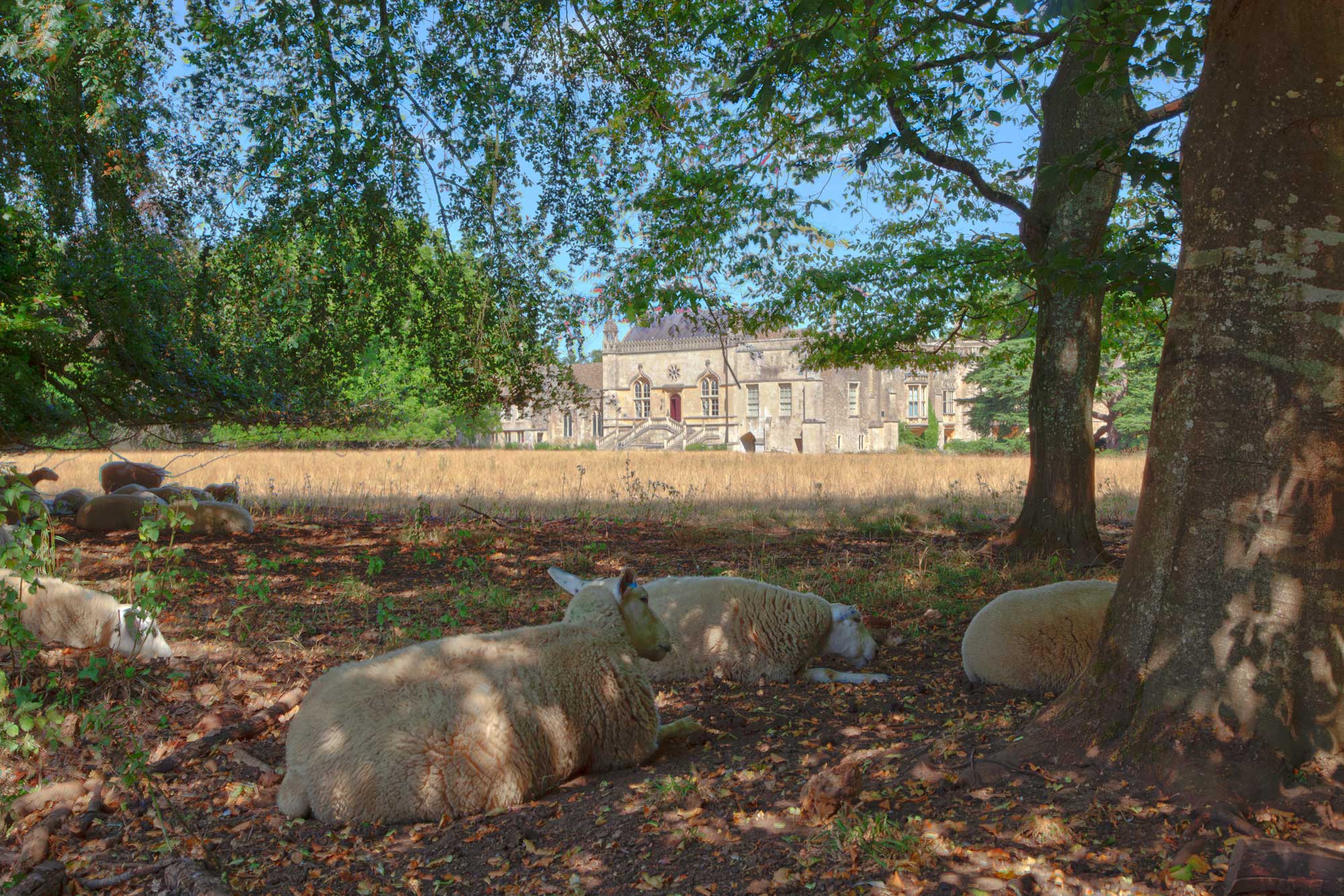 Lacock Abbey and Village