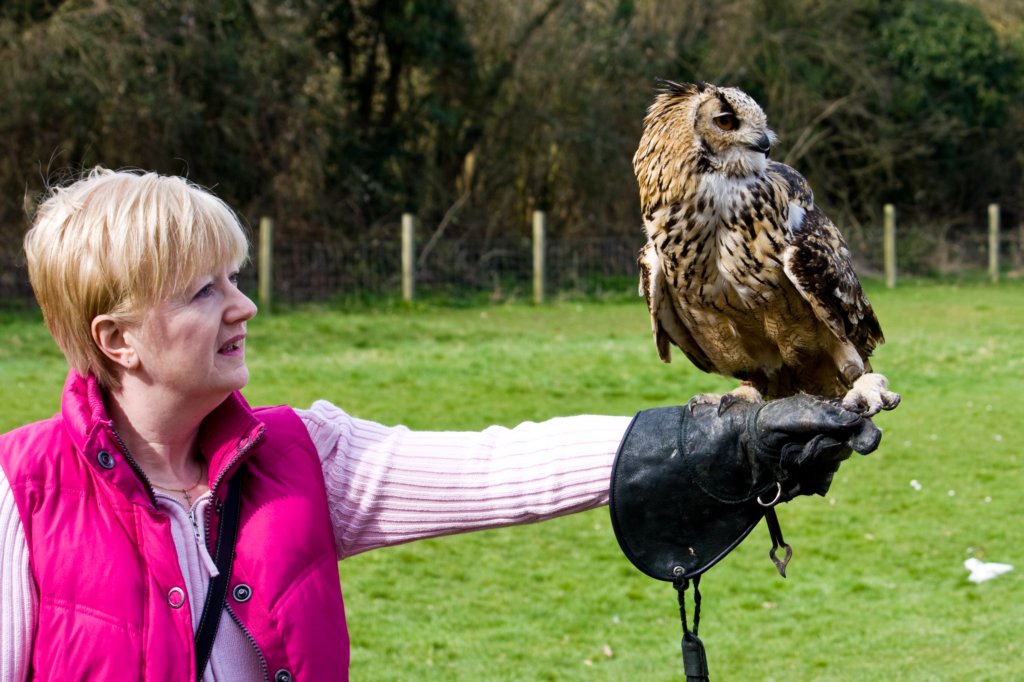 maryardenshousepatandbengalowl.jpg