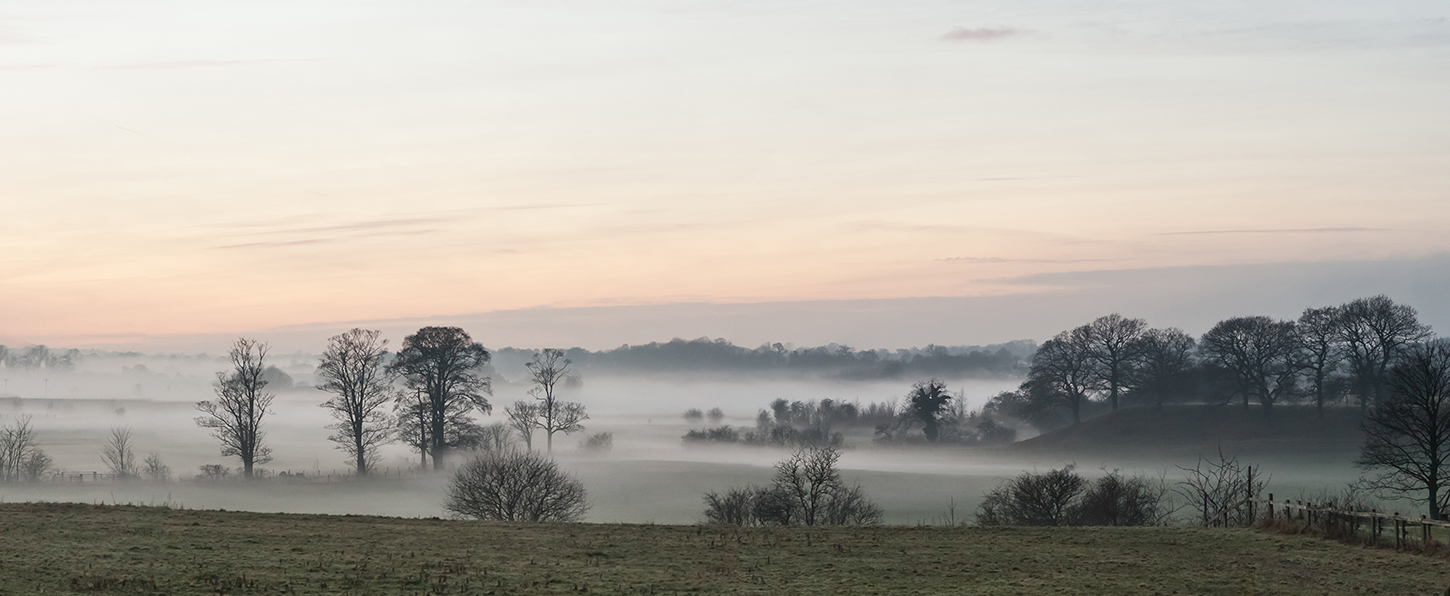 evening mist